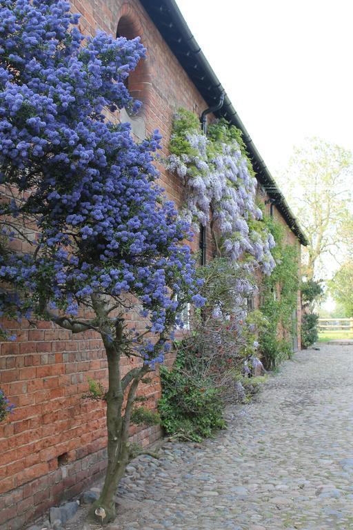 The Jockey Room Hideaway Spurstow 外观 照片