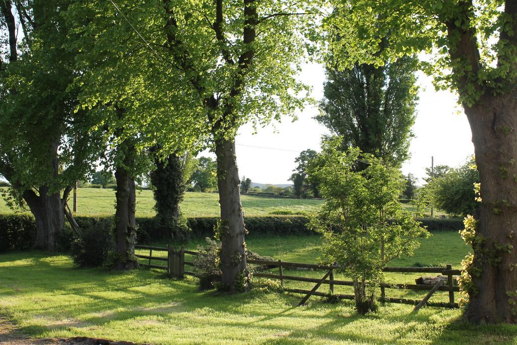 The Jockey Room Hideaway Spurstow 外观 照片