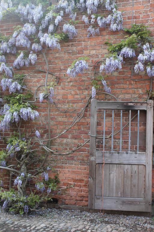 The Jockey Room Hideaway Spurstow 外观 照片