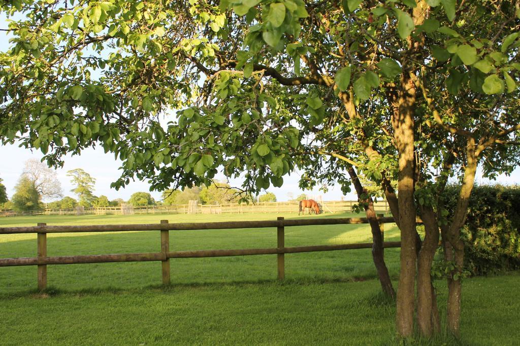 The Jockey Room Hideaway Spurstow 外观 照片